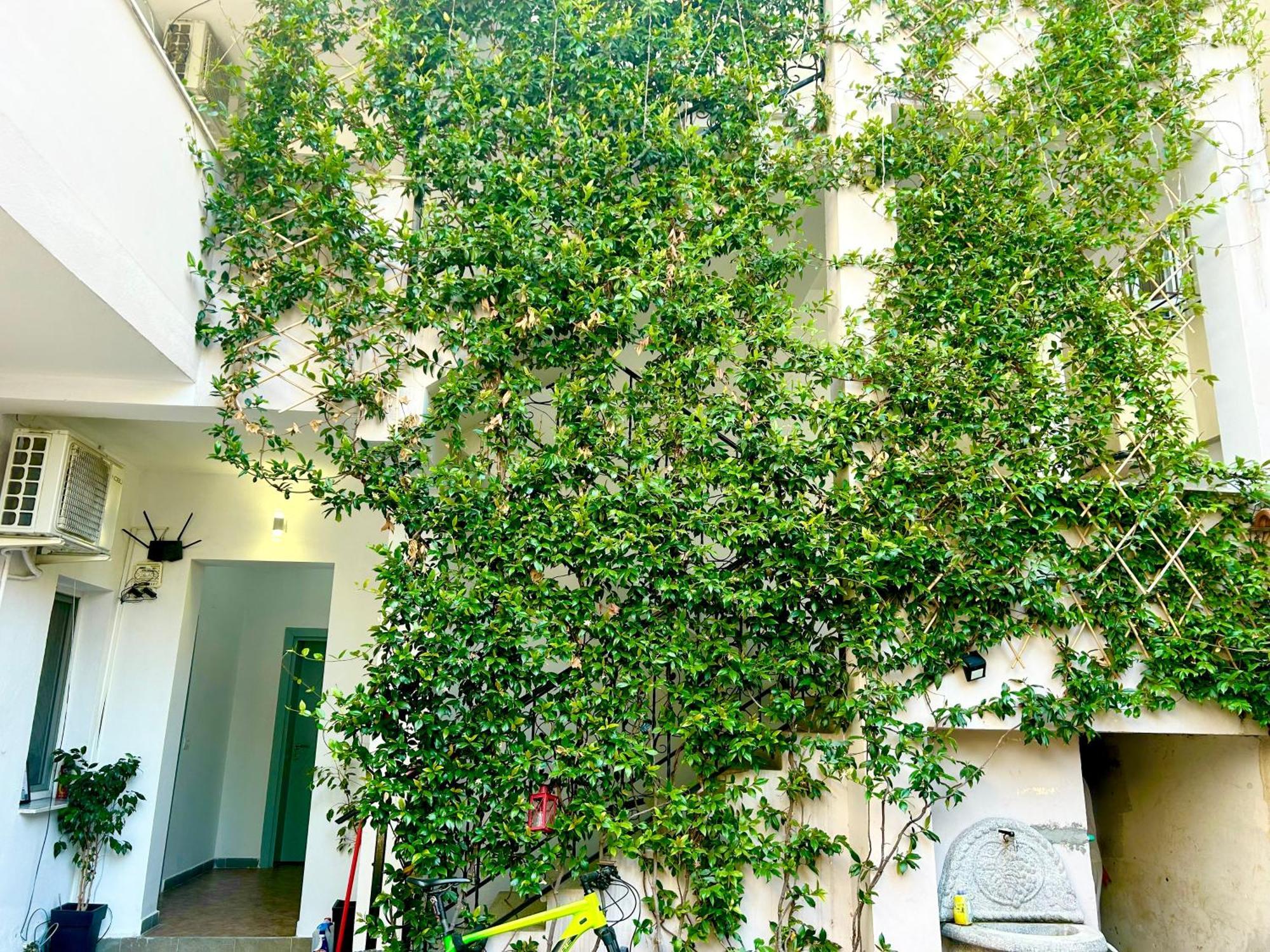 Budget Retreat Tirana & Studios Exterior foto